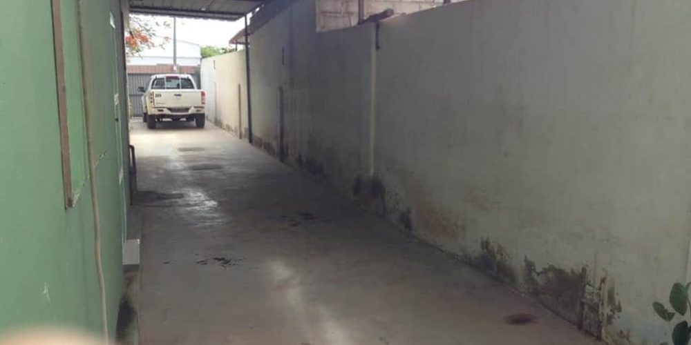 123037822-178672580586962-3579412466087969533-n