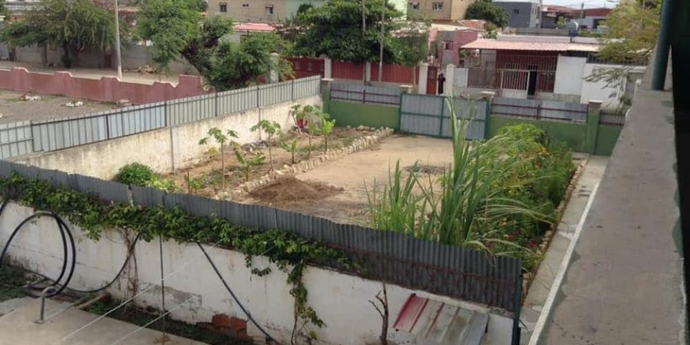 123343732-178672620586958-2489701183524016800-n