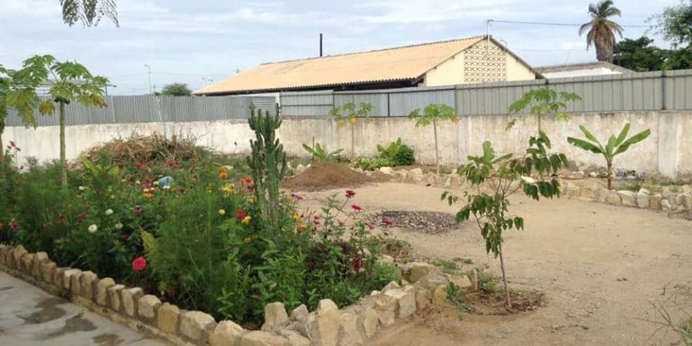 123509971-178672163920337-6662612842310086135-n